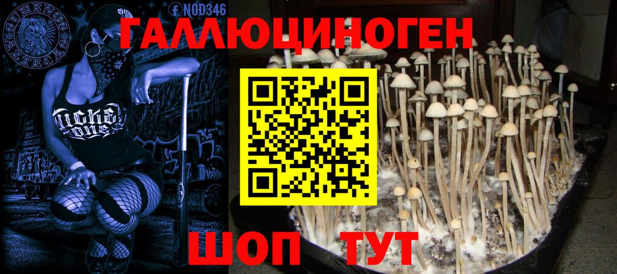 Сочи  Галлюциногенные грибы MAGIC MUSHROOMS  даркнет сайт  Псилоцибиновые грибы мухоморы  Вход с VPN 